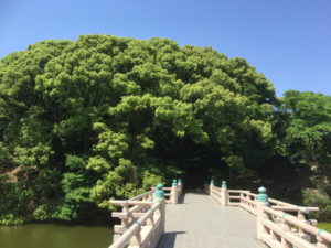 河底池から茶臼山